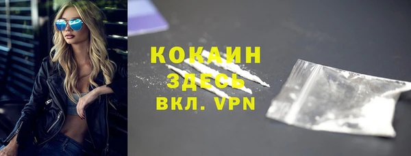 стафф Коряжма