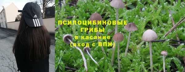 не бодяженный Кулебаки