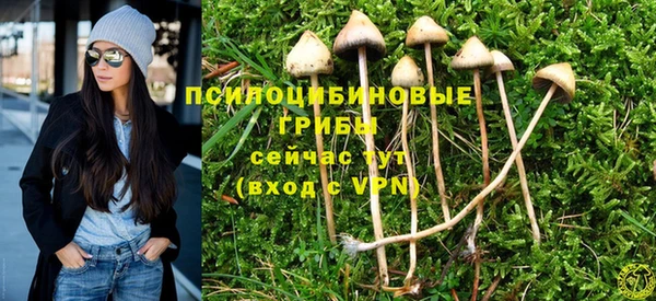 героин Ладушкин