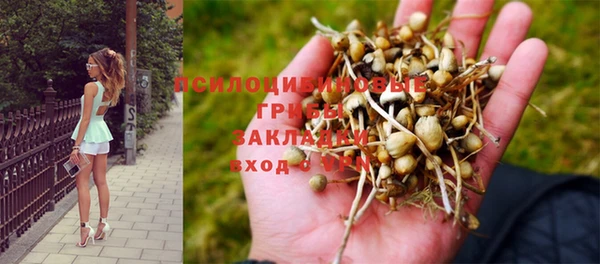 таблы Лагань