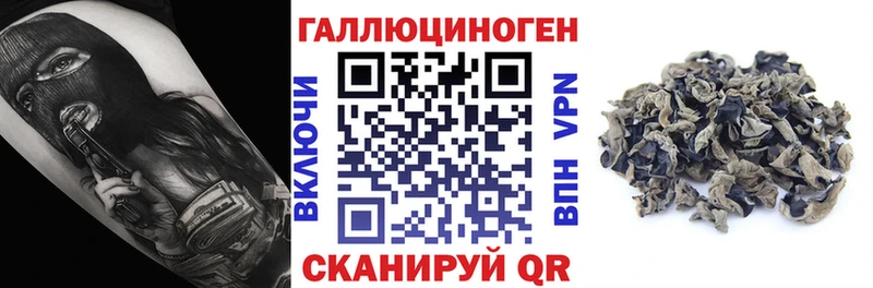 сайты даркнета официальный сайт  blacksprut зеркало  Беслан  Галлюциногенные грибы Psilocybine cubensis 